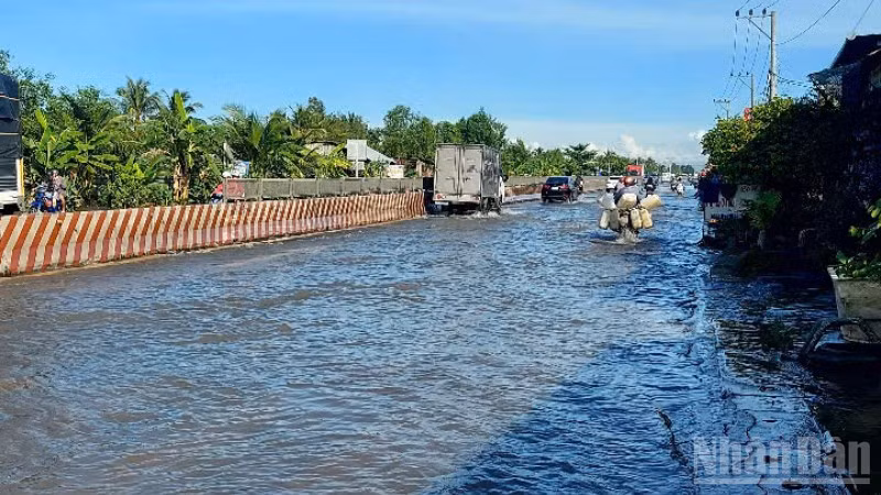 Triều cường gây ngập úng trên Quốc lộ 1 đoạn đi qua thành phố Cần Thơ.