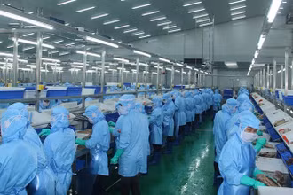 Xuất khẩu thủy sản tháng 6 tăng chậm lại do sụt giảm mạnh từ thị trường Mỹ. (Ảnh minh họa: BÁO NHÂN DÂN) 