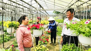 Nông dân phấn khởi vì được mượn đất sản xuất, phát triển kinh tế.