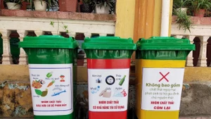 Thùng phân loại rác thải đang được triển khai đồng loạt ở các đô thị lớn.