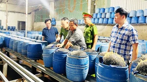 Đại tá Trần Quốc Huy, Phó Giám đốc Công an tỉnh Lào Cai, trực tiếp chỉ đạo hoạt động kiểm tra các cơ sở làm giá đỗ trên địa bàn tỉnh. Ảnh: TTXVN