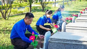 Thay mới cành sen, lọ hoa và thắp hương tại các ngôi mộ liệt sĩ.