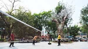 Người dân rèn luyện thể thao trong Công viên Cổ Tân (phường Hoàn Kiếm), bên cạnh tác phẩm “Hồi sinh”. Ảnh: NGHỆ SĨ CUNG CẤP