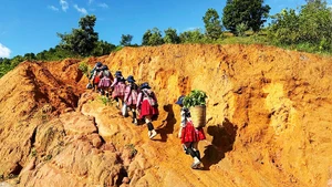 Bà con gùi cây lên vị trí trồng cây trên sườn đồi.