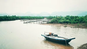 Ảnh: ANH QUÂN