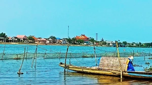 Thôn Bắc Phước trù phú hơn nhờ cây cầu chứng sinh.