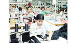 Người lao động không có quyền quyết định mức đóng của mình, khoản đóng BHXH hoàn toàn phụ thuộc mức lương được ghi trong hợp đồng lao động. Ảnh: HẢI NAM
