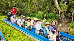 Rừng ngập mặn tại các tỉnh miền tây được du khách yêu thích. Ảnh: NAM ANH