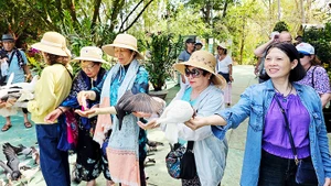 Những chuyến đi thân thiện môi trường thu hút khách du lịch. Ảnh: NAM NGUYỄN