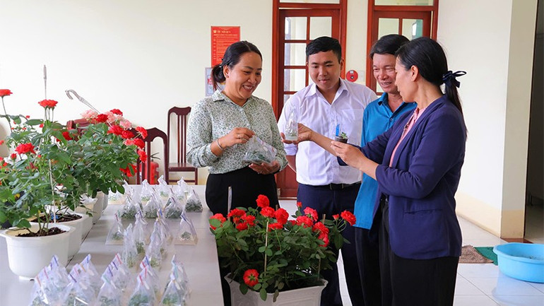 Berhasil menyilangkan varietas mawar baru yang diperbanyak dengan metode kultur jaringan, metode ini memperbanyak dalam jumlah besar, dengan kualitas seragam dan benih bebas penyakit. hh3.jpg