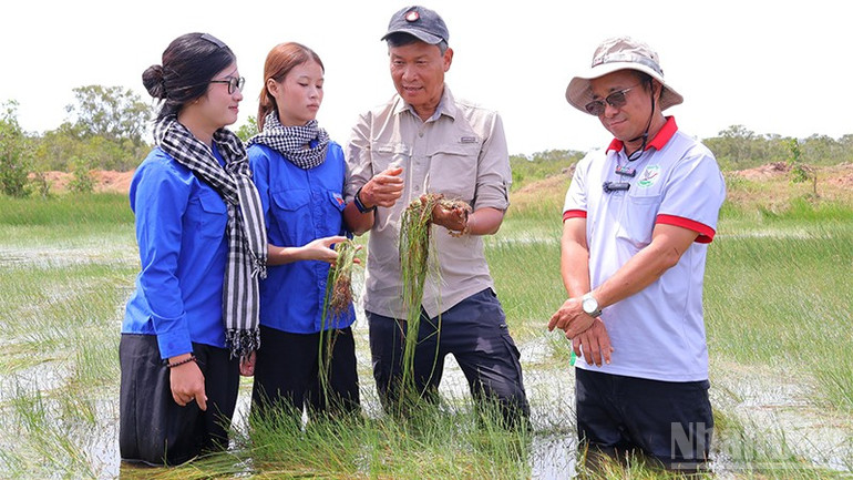Tiến sĩ Trần Triết, Giám đốc Chương trình Đông Nam Á, Hội Sếu quốc tế (thứ 2 từ phải sang) kiểm tra thực địa về sự phục hồi của quần xã năng kim tại Vườn quốc gia Tràm Chim. ndo_br_tc1.jpg