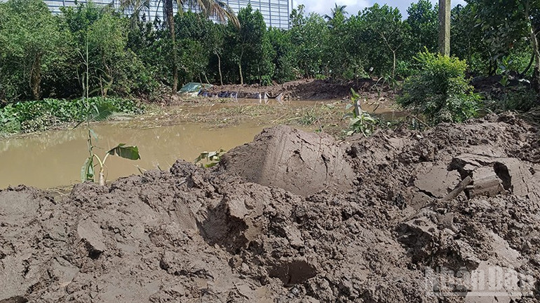 Đoạn đê đã được gia cố. ndo_br_duocgiaco.jpg