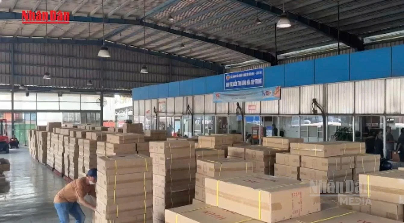 Ngăn chặn gần 20.000 sản phẩm vi phạm sở hữu trí tuệ, mỹ phẩm hết hạn chuẩn bị đưa ra thị trường