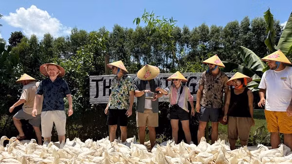 Bồng Lai, hương đồng gọi bước