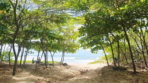 Bờ biển Playa Guiones được phủ bóng cây xanh. Ảnh: THE GUARDIAN
