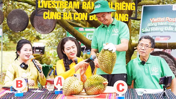 Sầu riêng Ea Knuếc livestream kết nối thị trường