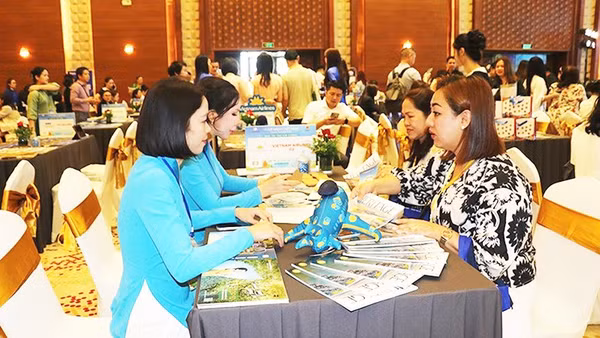 Du khách quốc tế tìm hiểu các tour du lịch của Gia Lai để tham gia trải nghiệm.