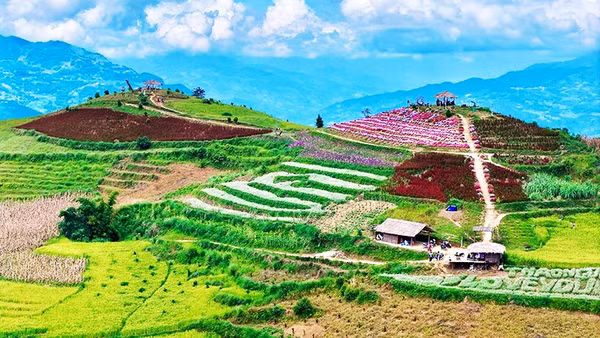 Ngàn hoa giữa miền mây trắng