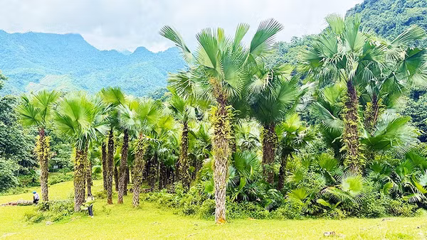 Sống cân bằng ở Khun