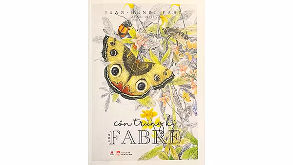Nhặt từ sách
