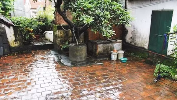 Góc sân ngày mưa ngâu. Ảnh: HOÀNG THU PHỐ