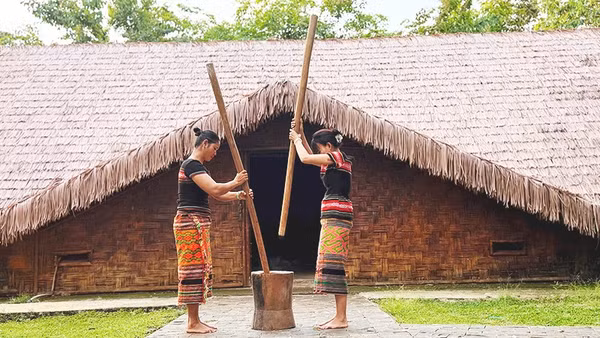 Biểu diễn giã gạo chày đôi tại Khu Bảo tồn văn hóa dân tộc S'tiêng xã Bom Bo.