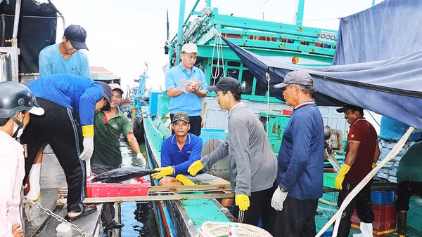 Ban Quản lý Cảng cá, Sở Nông nghiệp và Môi trường tỉnh Gia Lai quản lý chặt chẽ tàu, thuyền xuất - nhập bến.
