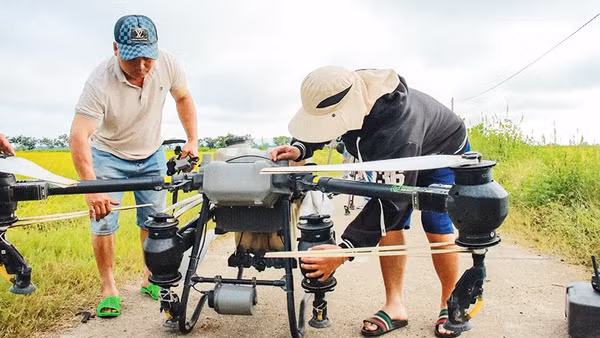 Ứng dụng thiết bị bay không người lái (flycam) trong sản xuất nông nghiệp giúp giảm sức lao động cho nông dân Ia Hiao. Ảnh: VŨ CHI