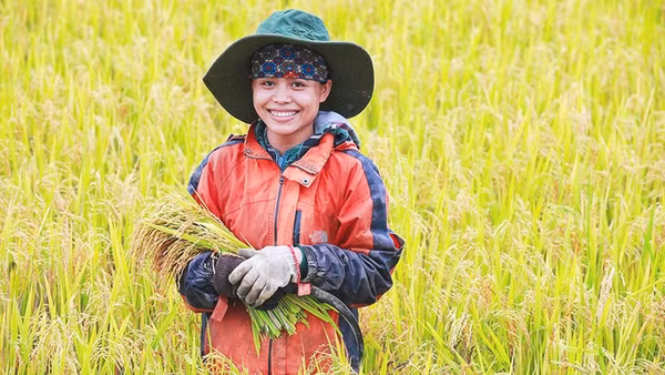Nụ cười của người Vân Kiều ở Cu Vơ trước vụ mùa bội thu.