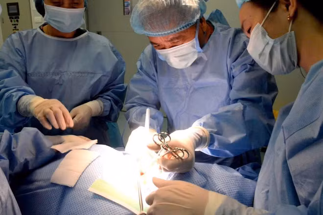 Phó Giáo sư, Tiến sĩ Trần Ngọc Lương, nguyên Giám đốc Bệnh viện Nội tiết Trung ương trực tiếp thực hiện ca phẫu thuật cho bệnh nhân. (Ảnh: HOA QUỲNH)