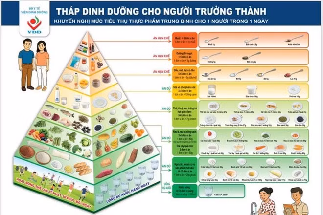 Tháp dinh dưỡng cho người trưởng thành do Viện Dinh dưỡng (Bộ Y tế) khuyến nghị. (Ảnh: Viện Dinh dưỡng)