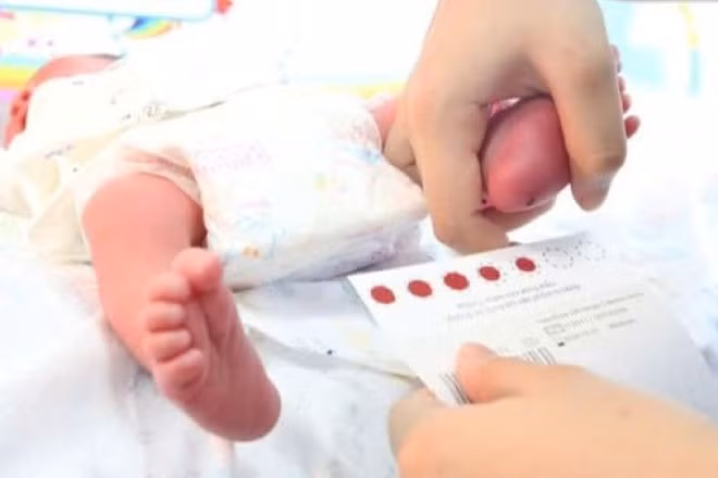 Lấy máu gót chân sàng lọc bệnh cho trẻ sơ sinh.
