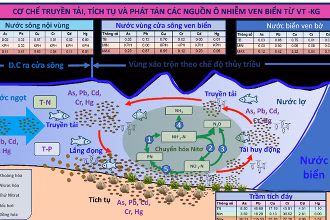 Sơ đồ cơ chế truyền tải, tích tụ và phát tán các nguồn ô nhiễm ven biển từ Vũng Tàu đến Kiên Giang. (Ảnh: TL)
