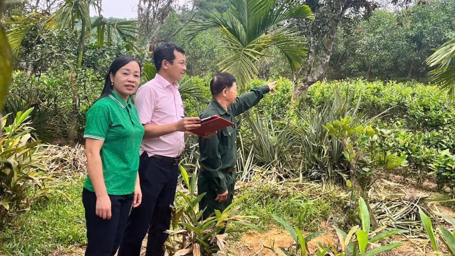img-2798.jpg