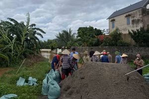 Phụ nữ phường Tân An phối hợp cùng các lực lượng chức năng gia cố đê. (Ảnh: PN)