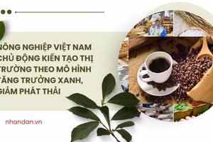 Nông nghiệp Việt Nam hướng tới xanh, số và bền vững. (Ảnh: HNV)