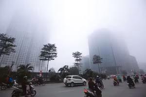 Bộ Nông nghiệp và Môi trường sẽ xây dựng Quy chế phối hợp, biện pháp quản lý chất lượng môi trường không khí liên vùng, liên tỉnh và tổ chức thực hiện.