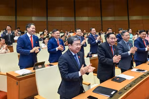 Các đại biểu Quốc hội Đoàn Đồng Nai dự phiên họp sáng 24/4. (Ảnh: DUY LINH)