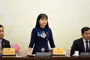 Phó Chủ nhiệm Ủy ban Công tác đại biểu Tạ Thị Yên trao đổi với các phóng viên tại họp báo. (Ảnh: DUY LINH)