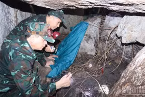 Trước đó, Bộ chỉ huy Quân sự thành phố Đà Nẵng đã khảo sát thực địa và tìm thấy một phần xương và các dụng cụ cá nhân của các liệt sĩ. 