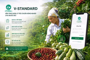 V-Standard đem tới nhiều hy vọng cho nông nghiệp Việt Nam. Nguồn: Aus4Innovation