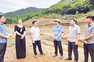 Cán bộ xã Mường Lát khảo sát mặt bằng thi công khu tái định cư, phòng tránh thiên tai cho dân cư ở khu Na Khà. 