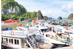 Cảng tàu Cái Rồng, đặc khu Cô Tô, Quảng Ninh. 