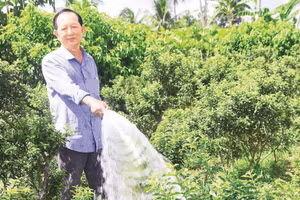 Dù tuổi cao nhưng ông Phúc vẫn miệt mài lao động, sản xuất.