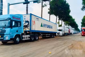 Xe container đậu tràn vào Khu trung tâm hành chính phường Dầu Giây.
