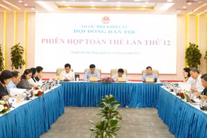 Phiên họp toàn thể lần thứ 12 của Hội đồng Dân tộc, ngày 21-22/8/2025. (Ảnh: Quochoi.vn)