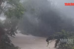 [Video] Cảnh báo lũ quét, sạt lở đất tại 5 tỉnh Bắc Bộ và Trung Bộ