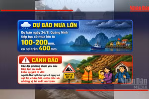 [Video] Quảng Ninh khẩn cấp di dời người dân khỏi khu vực nguy cơ sạt lở, ngập lụt