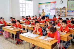 Nghệ An sắp xếp lại 647 trường, giảm gần một nửa số đầu mối. (Ảnh: ĐÌNH PHƯỢNG)