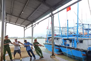 Các địa phương cần chủ động theo dõi chặt chẽ diễn biến thời tiết, hướng dẫn người dân đưa phương tiện vào nơi tránh trú ngay khi có yêu cầu. Ảnh: Đạt Đạt 